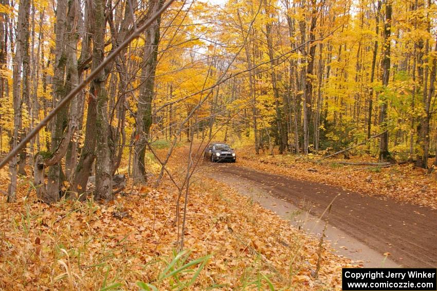 The Jaroslaw Sozanski / Bartosz Sawicki Subaru WRX comes out of a left-hander toward the flying finish of SS2, Beacon Hill.