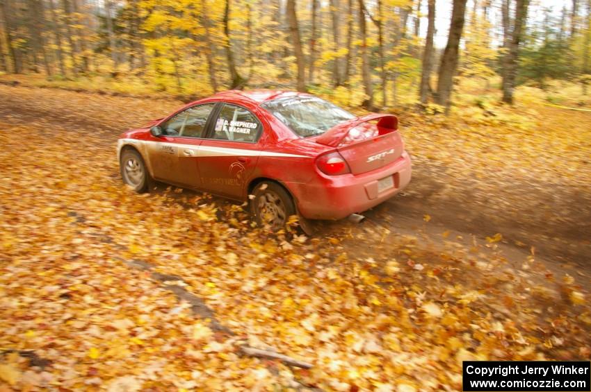 Doug Shepherd / Karen Wagner drift through leaf filled sweeper on SS2, Beacon Hill, in their Dodge SRT-4.