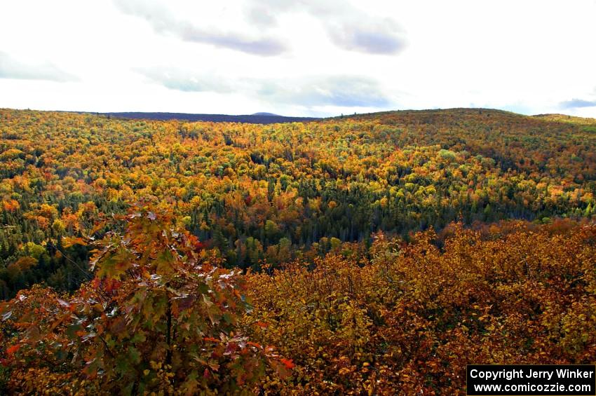 View of foliage across the gorge atop Brockway Mountian.