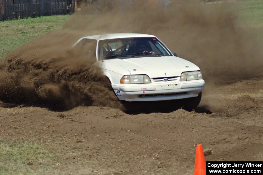 Bonnie Stoehr's Ford Mustang