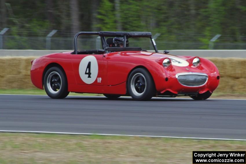 Tom Daly's Austin-Healey Sprite