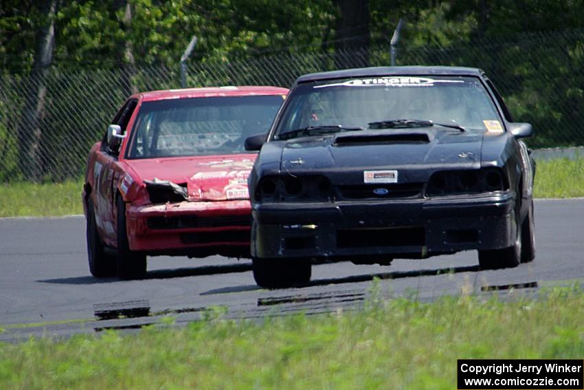 Wells Mafia Ford Mustang and Lap Dog Honda Prelude