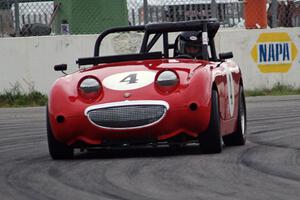 Tom Daly's Austin-Healey Sprite