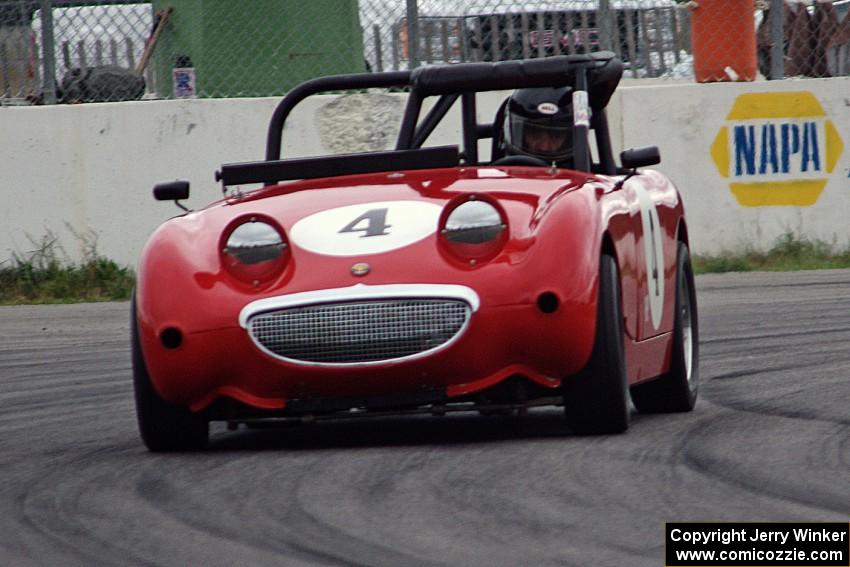 Tom Daly's Austin-Healey Sprite