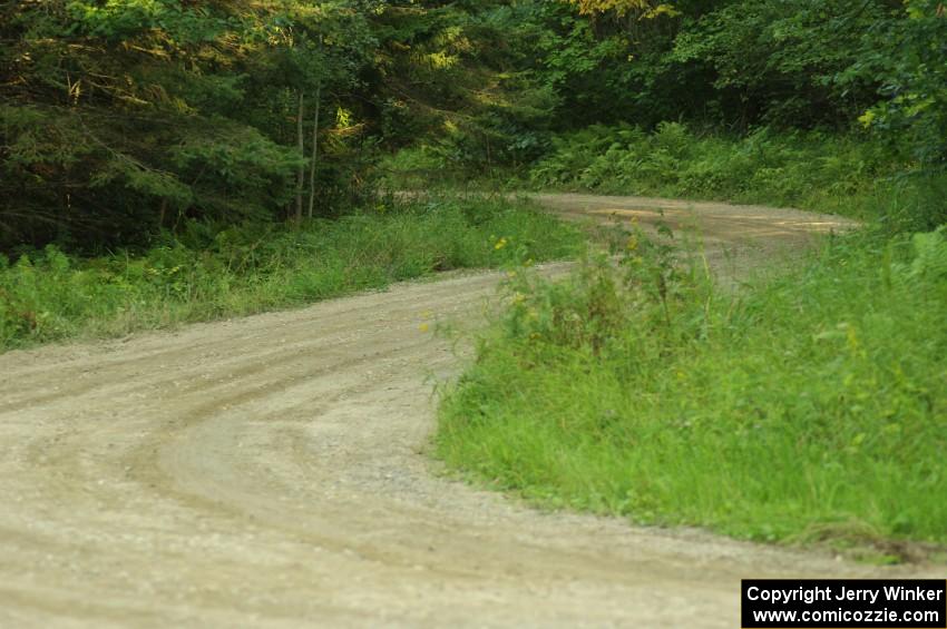 Twisty roads on SS7, 1/4 mile into the stage