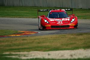 Eric Curran / Dane Cameron Chevy Corvette DP (Coyote)