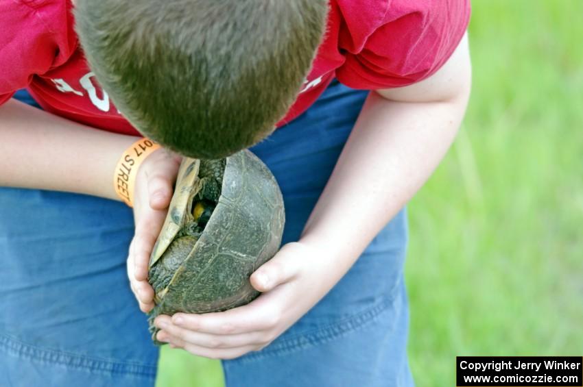 A young race fan picks up a Blanding's Turtle to check him out.