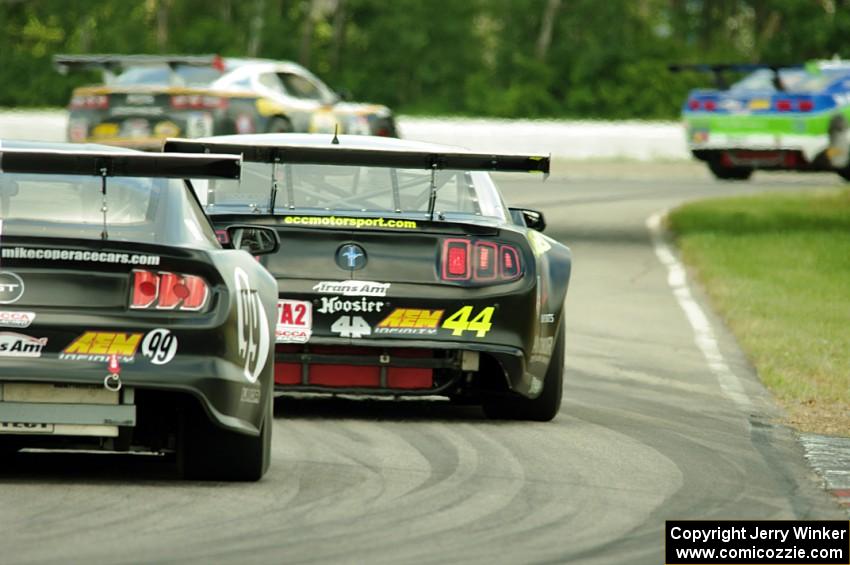 Justin Haley's Ford Mustang chases Adam Andretti's Ford Mustang