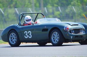 Dan Powell's Austin-Healey 3000