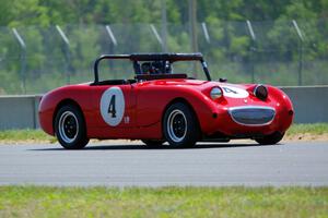 Tom Daly's Austin-Healey Sprite