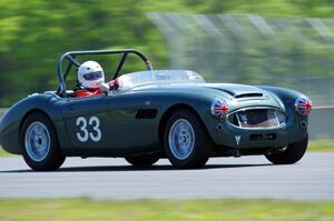 Dan Powell's Austin-Healey 3000