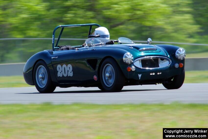 Eileen Wetzel's Austin-Healey 3000