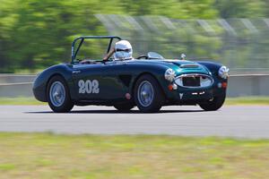 Eileen Wetzel's Austin-Healey 3000