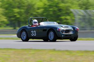 Dan Powell's Austin-Healey 3000