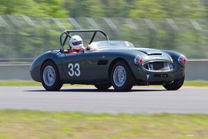 Dan Powell's Austin-Healey 3000