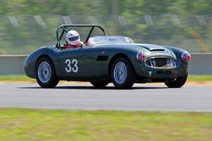 Dan Powell's Austin-Healey 3000