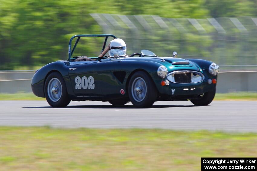 Eileen Wetzel's Austin-Healey 3000