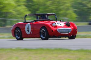 Tom Daly's Austin-Healey Sprite