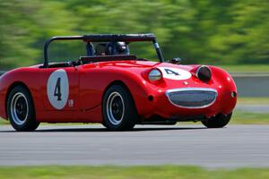 Tom Daly's Austin-Healey Sprite