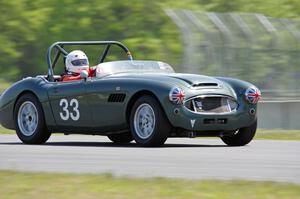 Dan Powell's Austin-Healey 3000