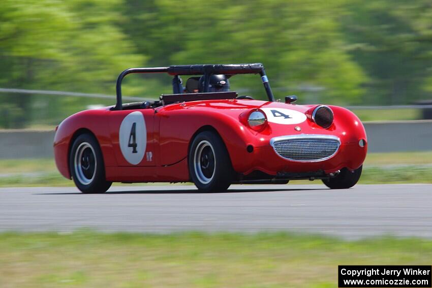 Tom Daly's Austin-Healey Sprite