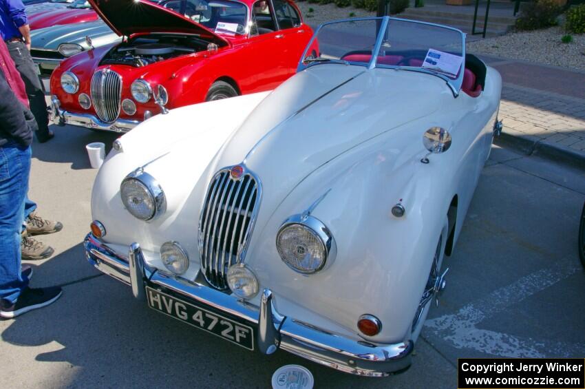 Jaguar XK-140 Roadster