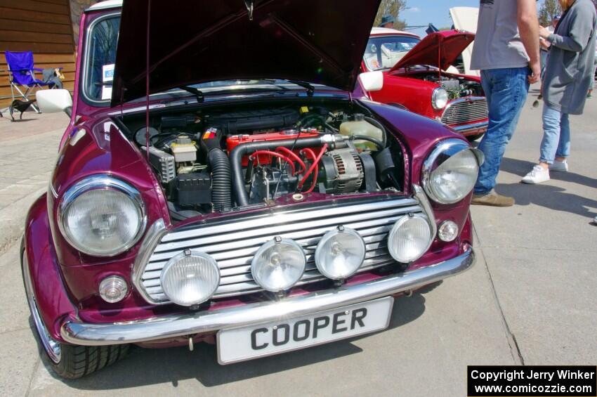 Austin Mini Cooper