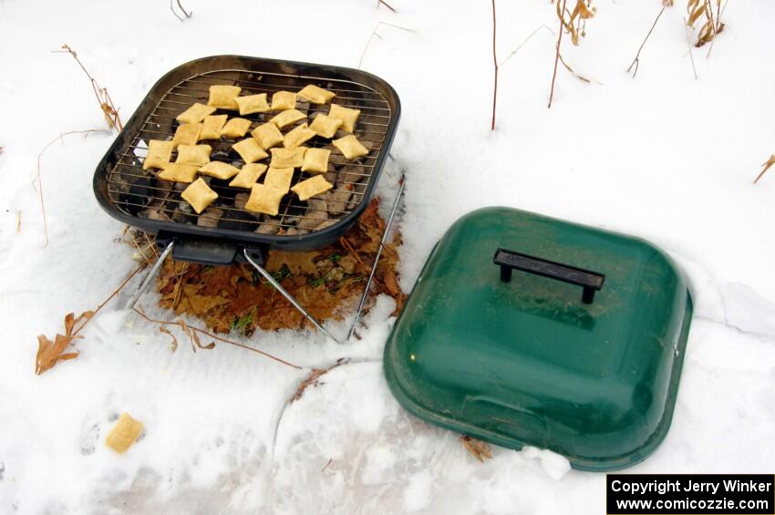 Meal #2: Pizza rolls cooked on a grill.