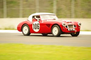 Scott McQueen's Austin-Healey 100-6