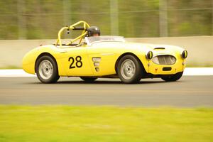 Jeff Johnk's Austin-Healey 3000