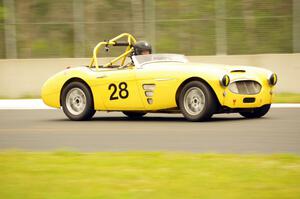 Jeff Johnk's Austin-Healey 3000