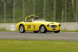 Jeff Johnk's Austin-Healey 3000