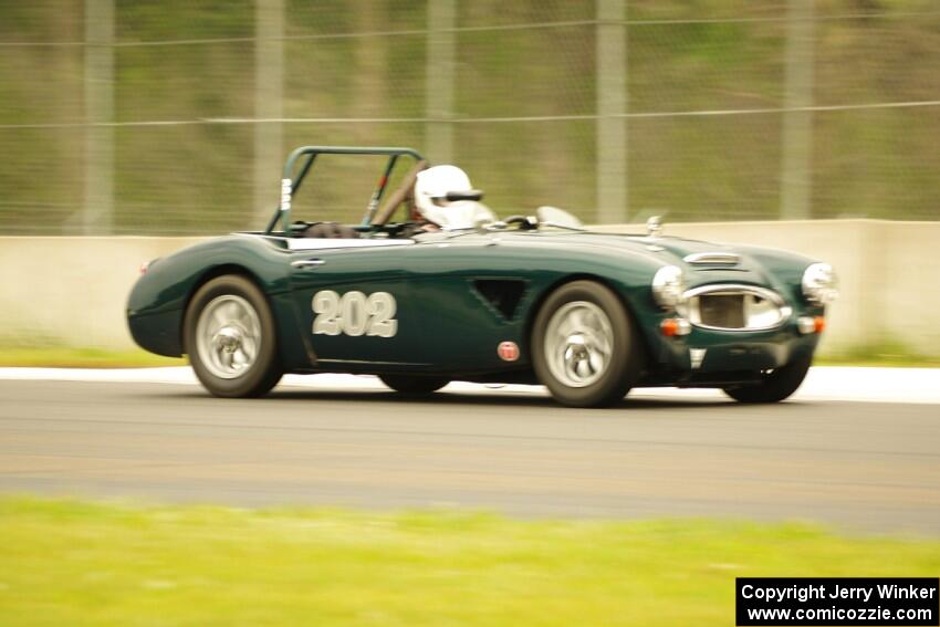 Eileen Wetzel's Austin-Healey 3000