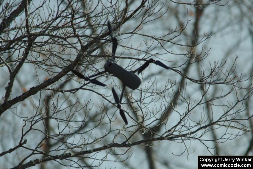 A drone gets caught in a tree at the spectator point on SS9, Arvon-Silver I.