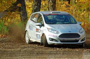 Paul Dickinson / Alison LaRoza Ford Fiesta comes through the spectator point on SS9, Arvon-Silver I.