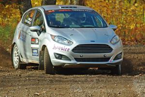 Paul Dickinson / Alison LaRoza Ford Fiesta comes through the spectator point on SS9, Arvon-Silver I.