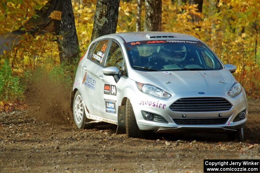 Paul Dickinson / Alison LaRoza Ford Fiesta comes through the spectator point on SS9, Arvon-Silver I.