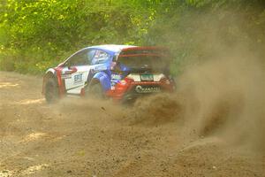 Piotr Fetela / Aris Mantopoulos Ford Fiesta Proto on SS4, Steamboat II.