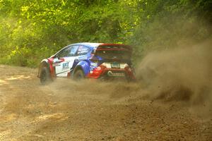 Piotr Fetela / Aris Mantopoulos Ford Fiesta Proto on SS4, Steamboat II.