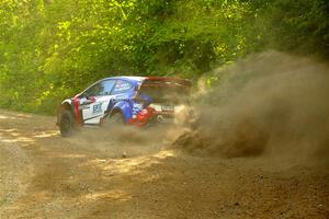 Piotr Fetela / Aris Mantopoulos Ford Fiesta Proto on SS4, Steamboat II.