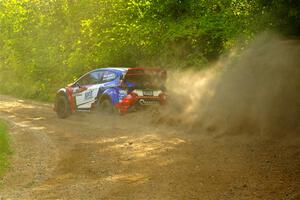 Piotr Fetela / Aris Mantopoulos Ford Fiesta Proto on SS4, Steamboat II.