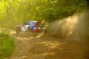 Piotr Fetela / Aris Mantopoulos Ford Fiesta Proto on SS4, Steamboat II.