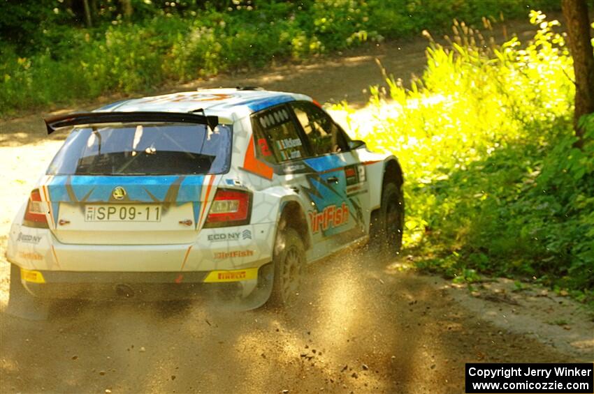 Barry McKenna / Leon Jordan Skoda Fabia on SS8, Height O' Land I.