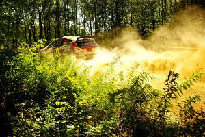 Ryan Booth / Nick Dobbs Ford Fiesta R5 at speed on SS10, Strawberrry Mountain II.