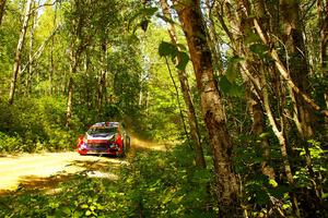 Piotr Fetela / Aris Mantopoulos Ford Fiesta Proto at speed on SS10, Strawberrry Mountain II.