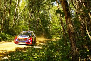 Piotr Fetela / Aris Mantopoulos Ford Fiesta Proto at speed on SS10, Strawberrry Mountain II.