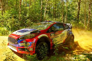 Piotr Fetela / Aris Mantopoulos Ford Fiesta Proto at speed on SS10, Strawberrry Mountain II.