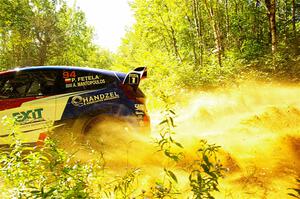 Piotr Fetela / Aris Mantopoulos Ford Fiesta Proto at speed on SS10, Strawberrry Mountain II.