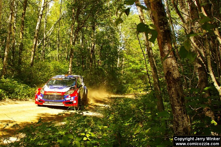 Piotr Fetela / Aris Mantopoulos Ford Fiesta Proto at speed on SS10, Strawberrry Mountain II.