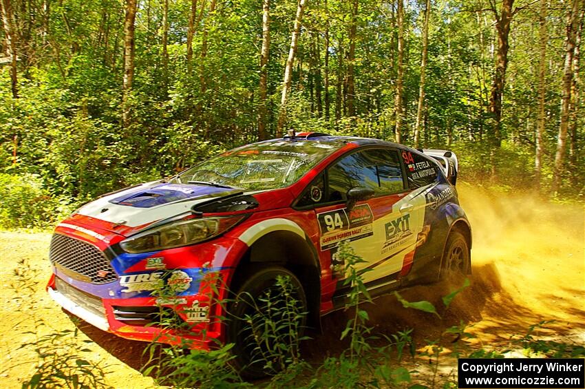 Piotr Fetela / Aris Mantopoulos Ford Fiesta Proto at speed on SS10, Strawberrry Mountain II.